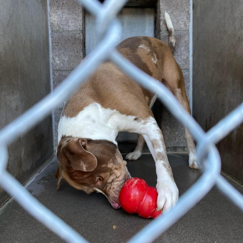 Large Scale Enrichment