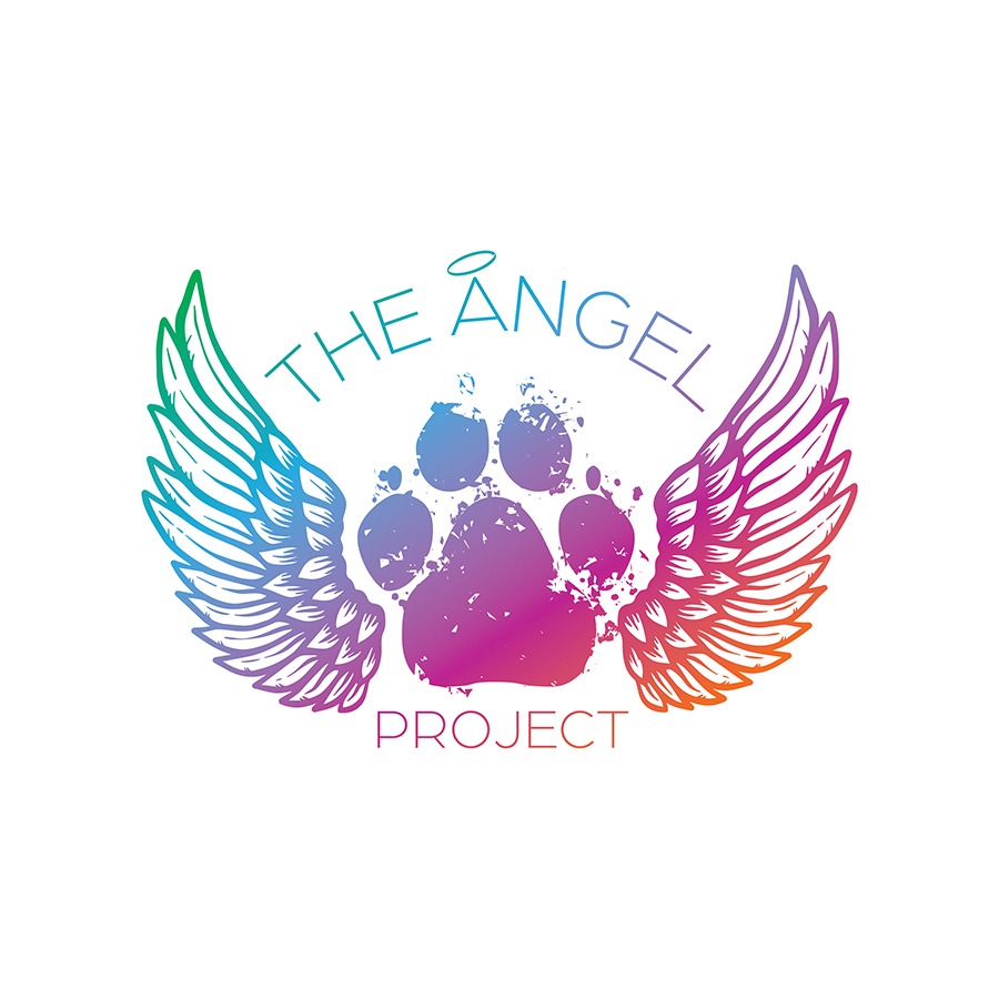 The Angel Project